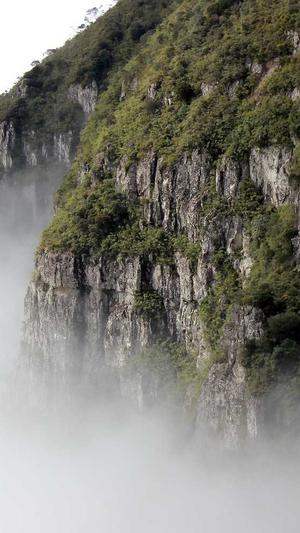 traineea成员jj黑料截图5